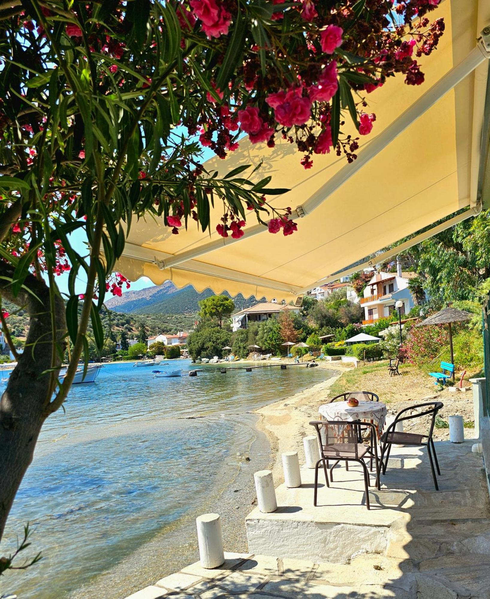 Villa Polianthi Seaside House Marathos  Exterior foto